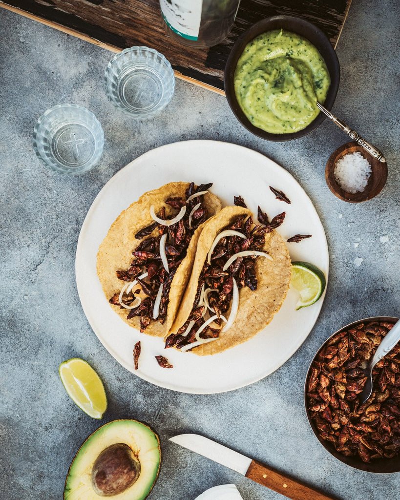 MerciMercado Recipe GRASSHOPPER TACOS WITH MEZCAL / TACOS DE CHAPULINES CON MEZCAL