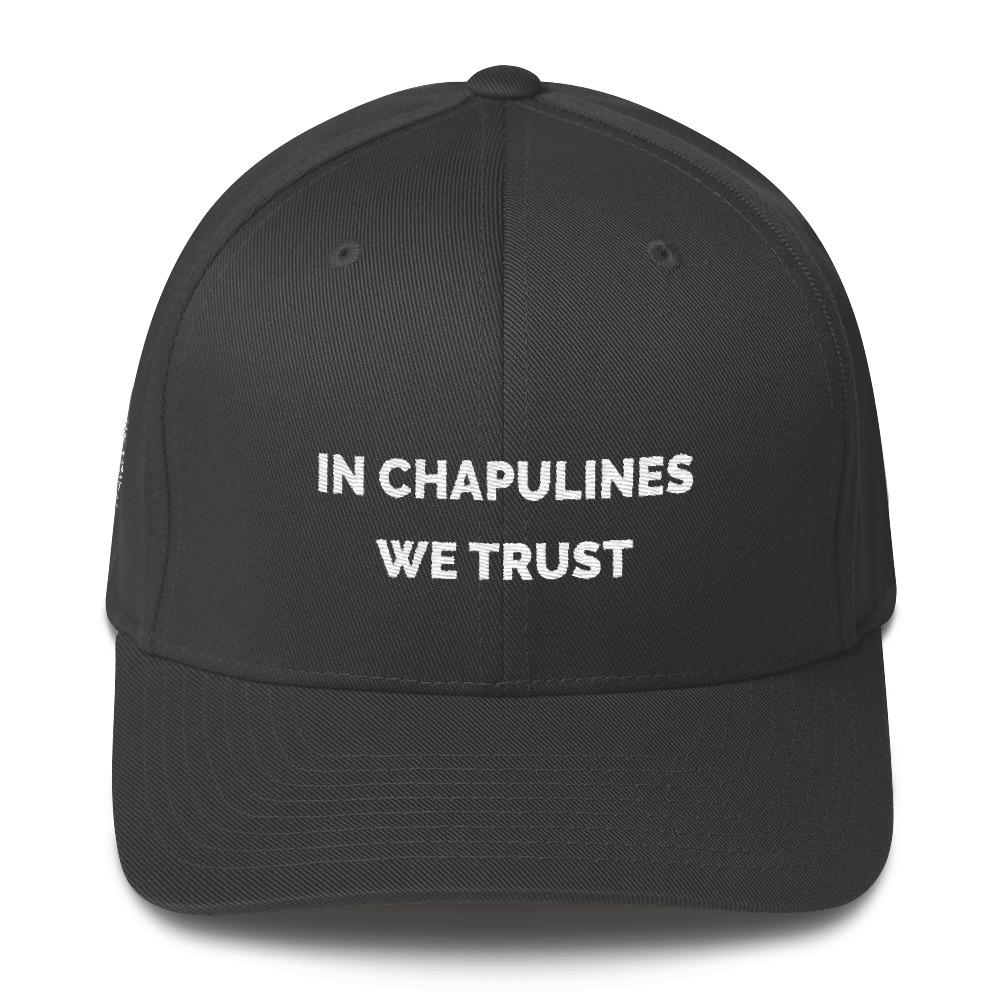 MerciMercado In chapulines We Trust Cap Front View Dark Grey