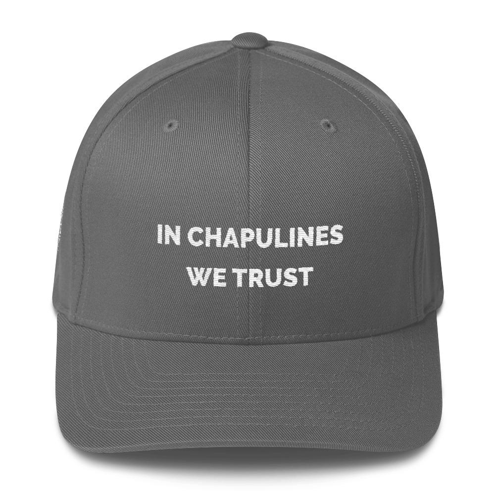 MerciMercado In chapulines We Trust Cap Front View Grey