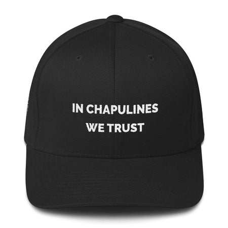 MerciMercado In chapulines We Trust Cap Front View Black