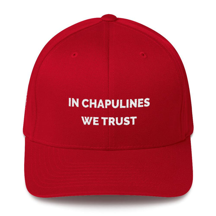 MerciMercado In chapulines We Trust Cap Front View Red
